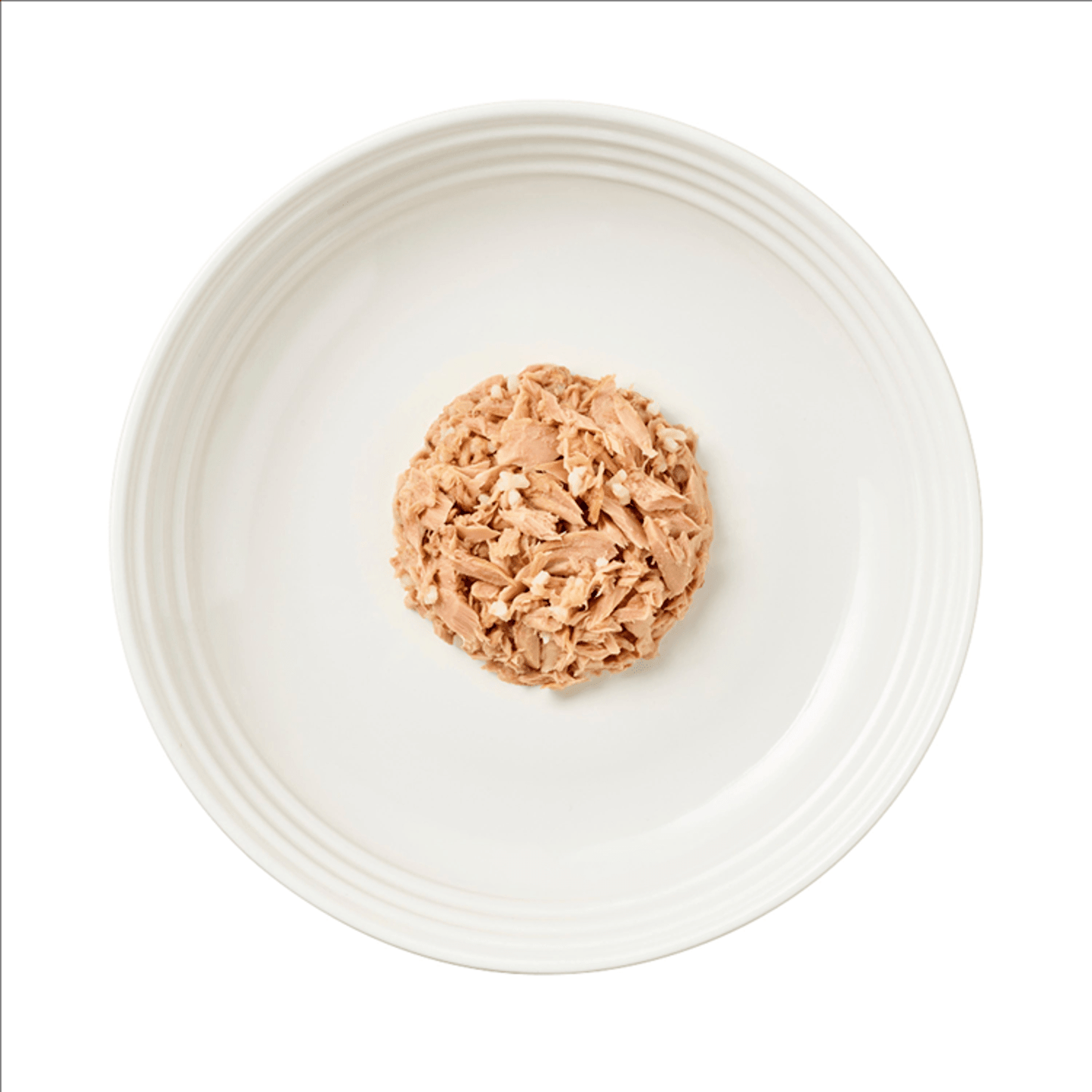 Encore Fish Selection in Jelly 5 x 50g - UK Food & Drink - 5060333437022