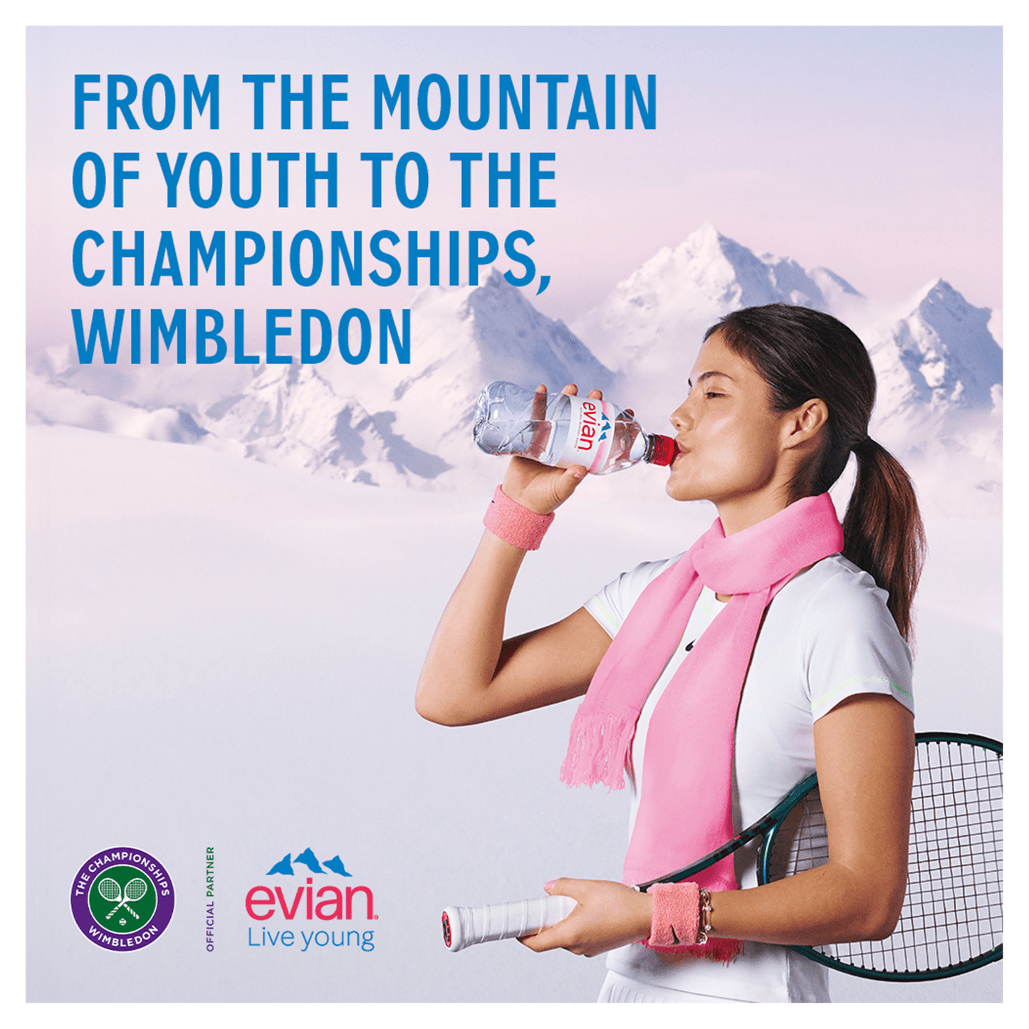 Evian Natural Mineral Water 33cl - UK Food & Drink - 3068320063003