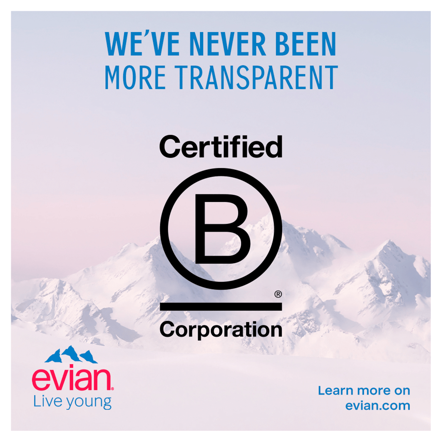 Evian Natural Mineral Water 33cl - UK Food & Drink - 3068320063003