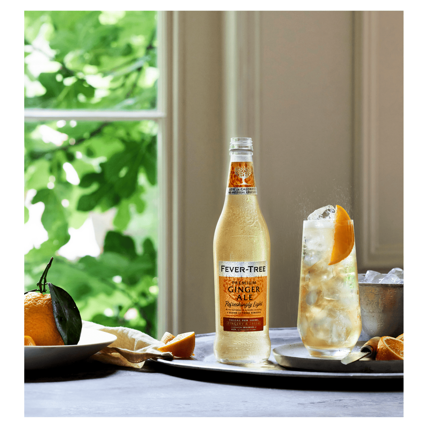 Fever - Tree Premium Ginger Ale Refreshingly Light 500ml - UK Food & Drink - 5060108451635