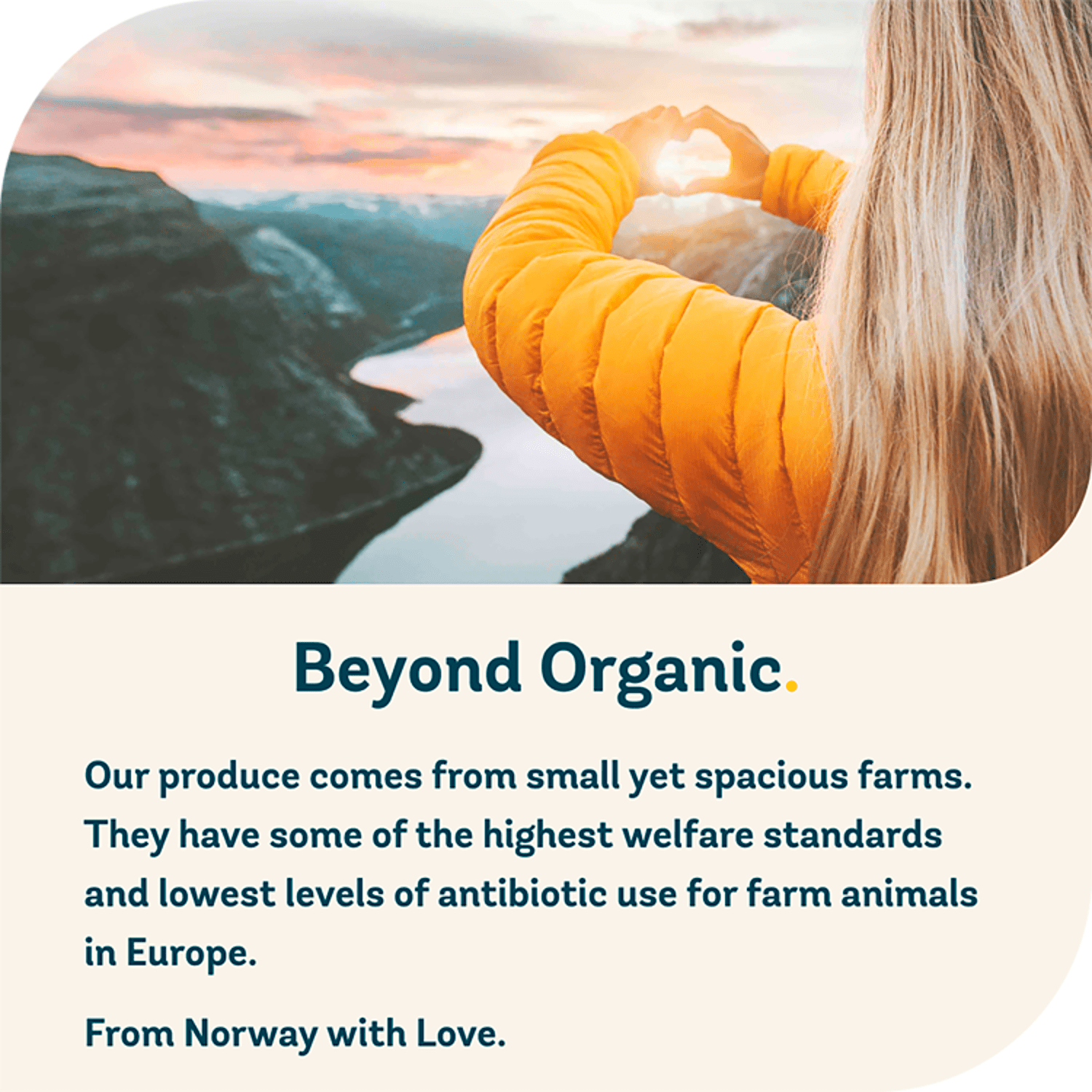 Freja Chicken Bone Broth 500ml - UK Food & Drink - 5070000140100