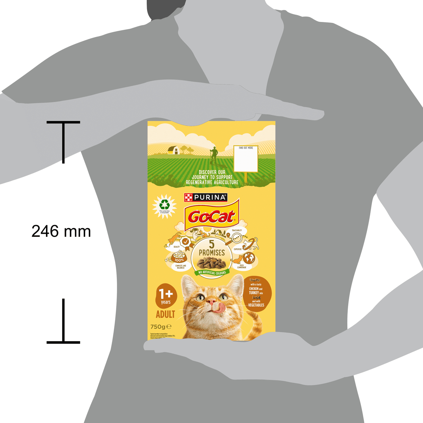 Go - Cat with a Tasty Chicken and Turkey Mix and with Vegetables 1+ Years Adult 750g - UK Food & Drink - 7613287211859