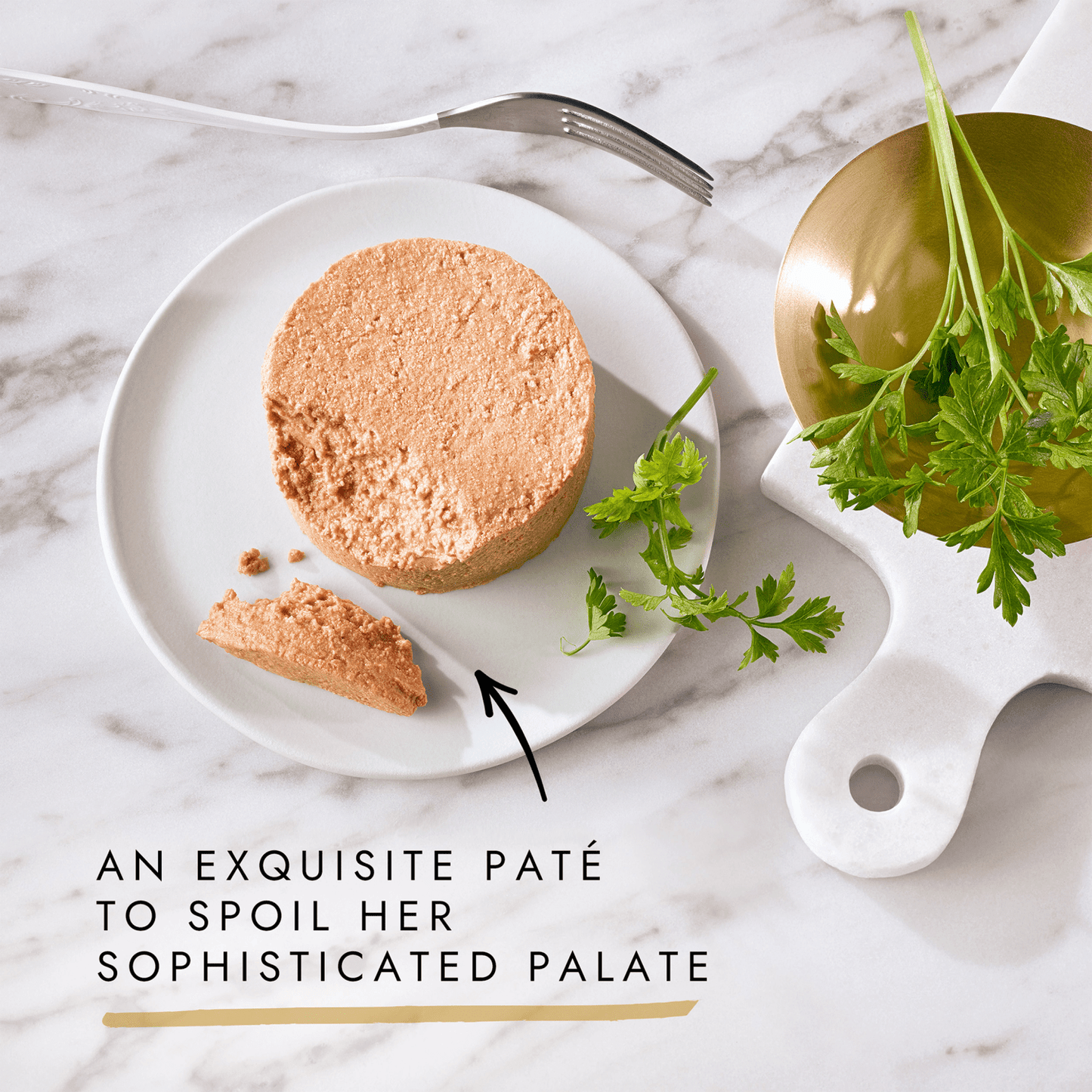 Gourmet Gold Cat Food Paté with Ocean Fish 85g - UK Food & Drink - 50500208