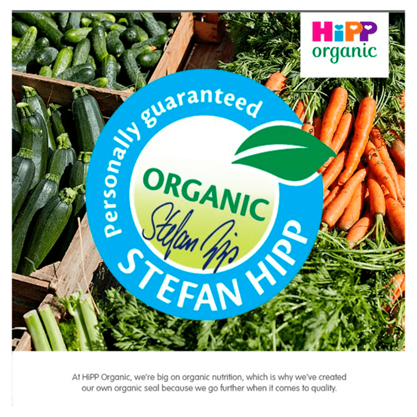 HiPP Organic Apple and Pear Baby Food Jar 4+ Months 125g - UK Food & Drink - 4062300270411