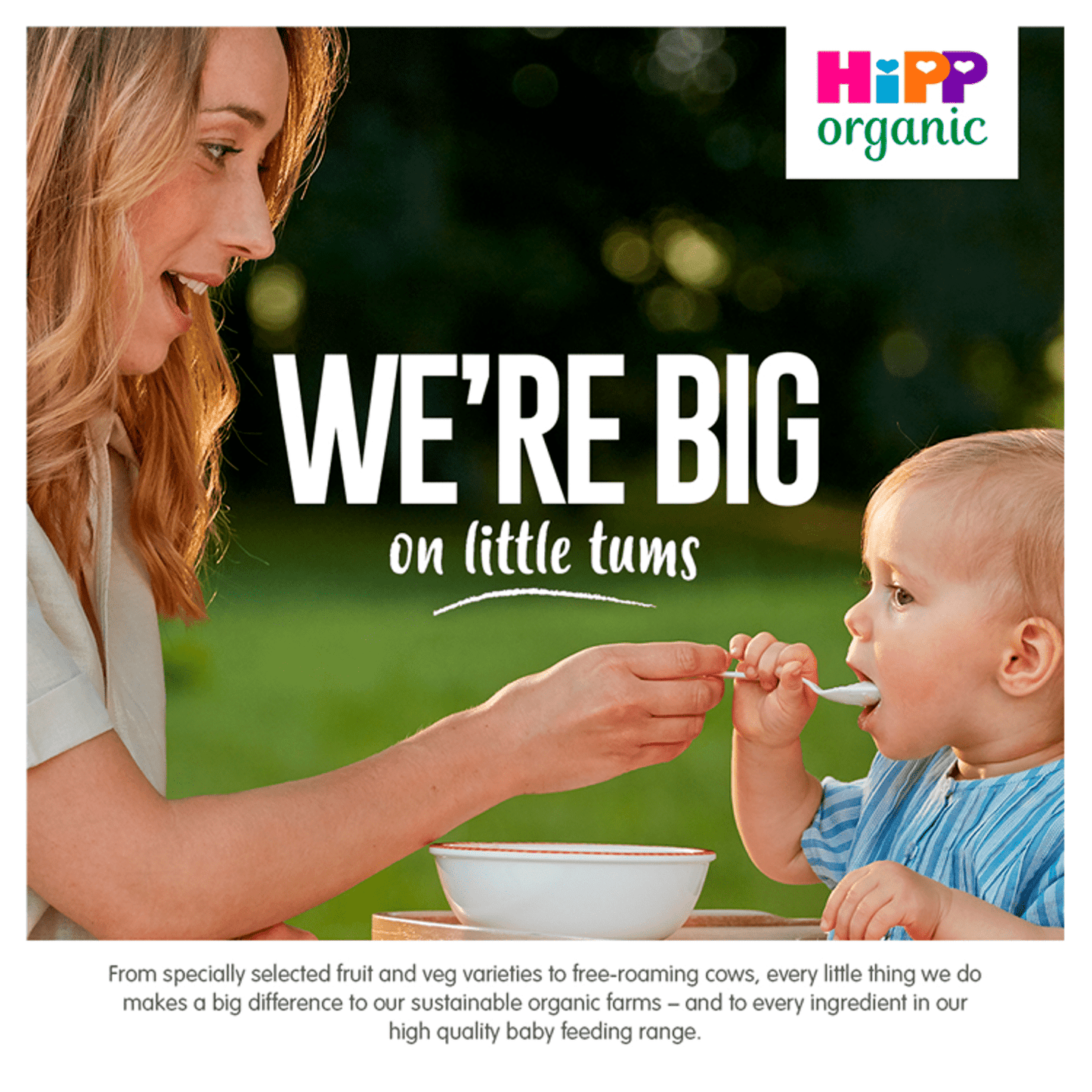 HiPP Organic Carrots, Peas & Cauliflower Baby Food Jar 4+ Months 125g - UK Food & Drink - 4062300203419