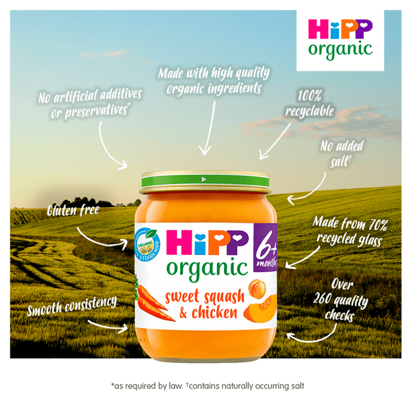 HiPP Organic Sweet Squash & Chicken Baby Food Jar 6+ Months 125g - UK Food & Drink - 4062300037731