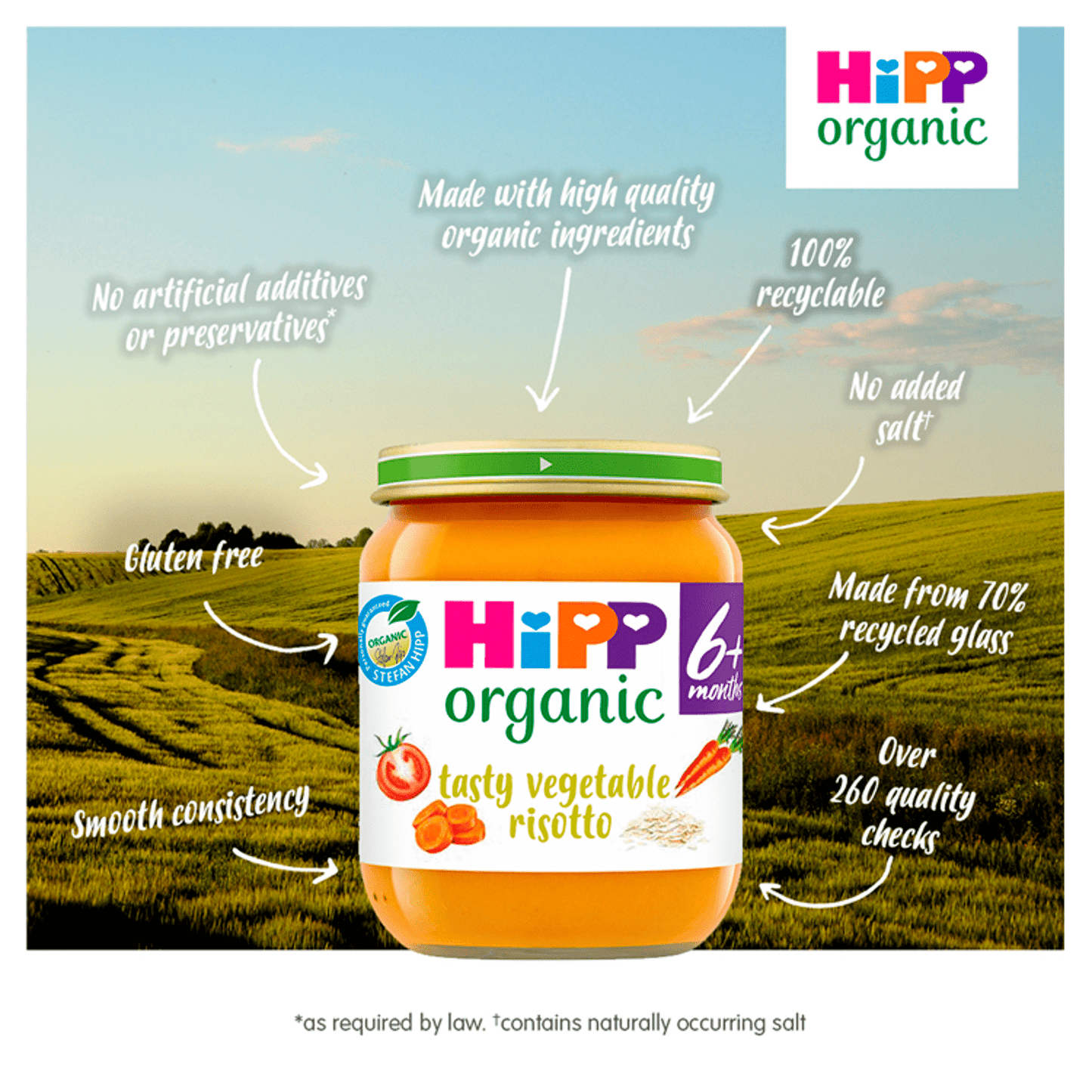 HiPP Organic Tasty Vegetable Risotto Baby Food Jar 6+ Months 125g - UK Food & Drink - 4062300162884