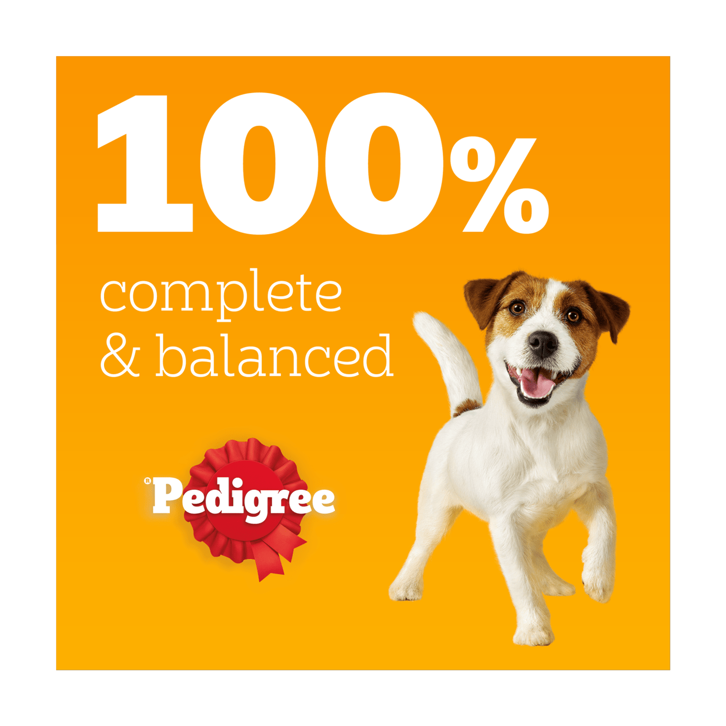 Pedigree Adult Wet Dog Food Pouches Mixed in Gravy 12 x 100g - UK Food & Drink - 3065890123878