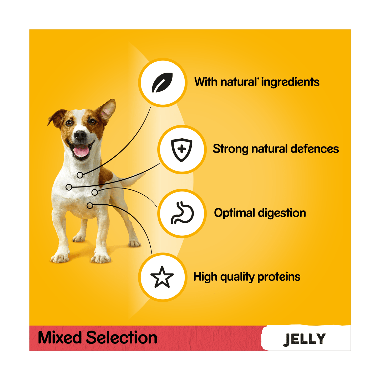 Pedigree Adult Wet Dog Food Pouches Mixed in Jelly 12 x 100g - UK Food & Drink - 3065890123892