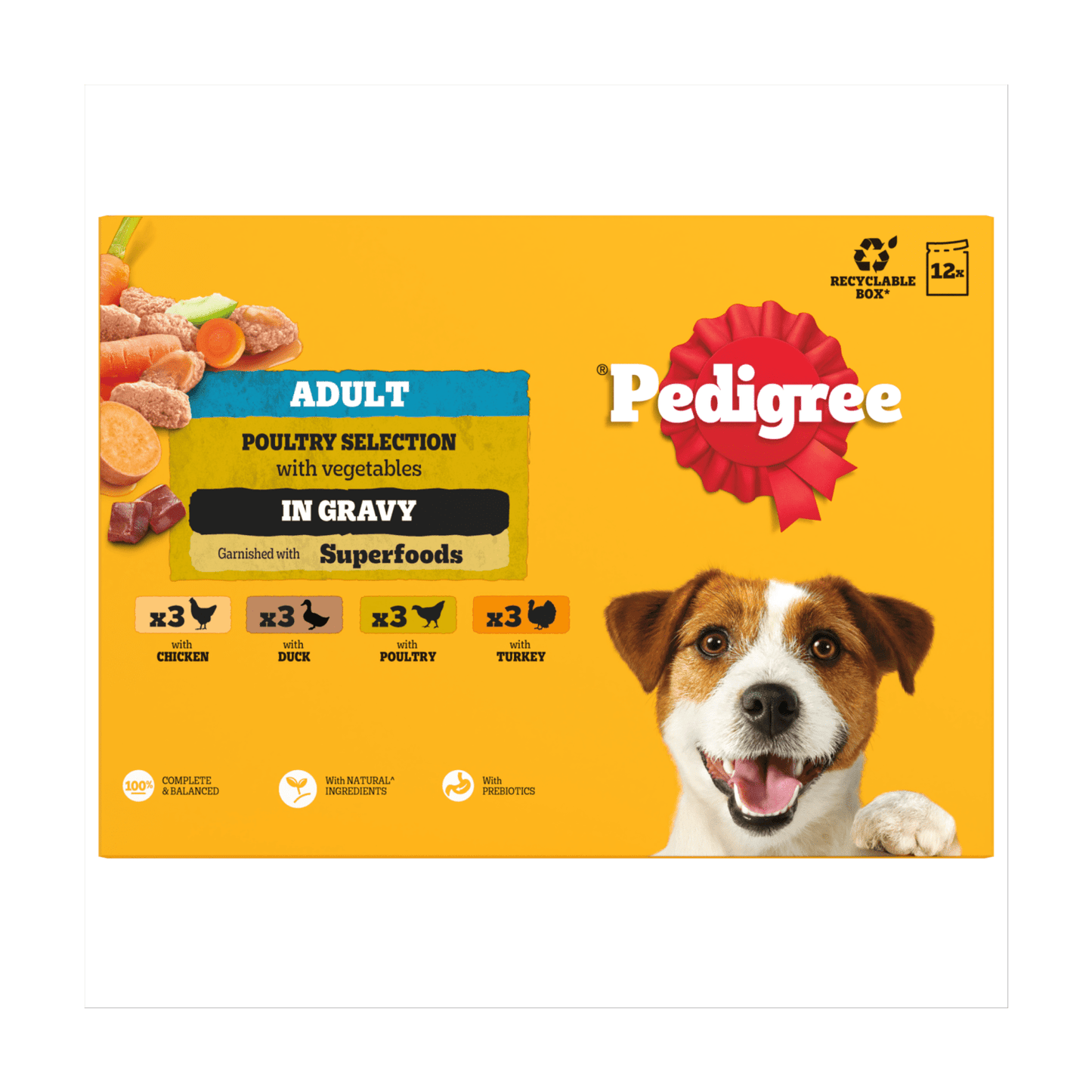 PEDIGREE¨ Adult Wet Dog Food Poultry Selection in Gravy 12 x 100g Pouch - UK Food & Drink - 4770608261245