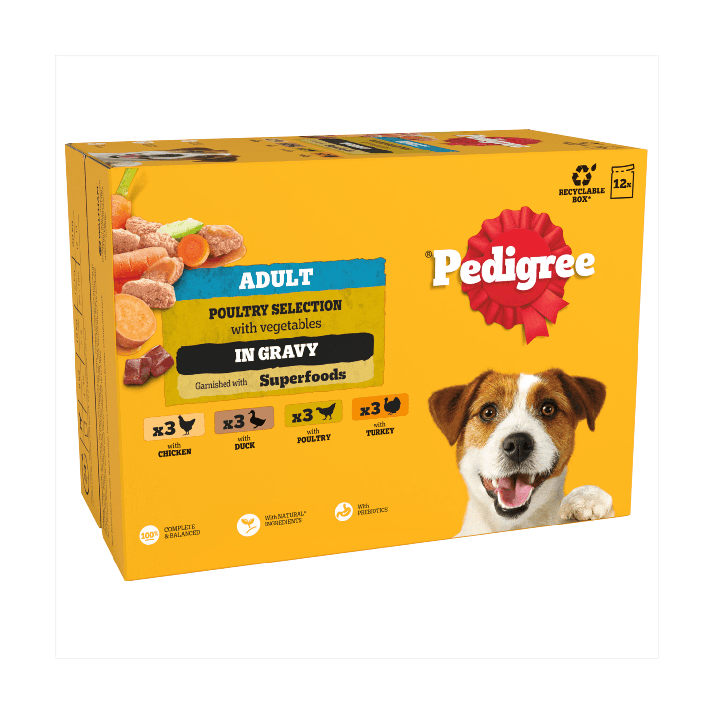 PEDIGREE¨ Adult Wet Dog Food Poultry Selection in Gravy 12 x 100g Pouch - UK Food & Drink - 4770608261245