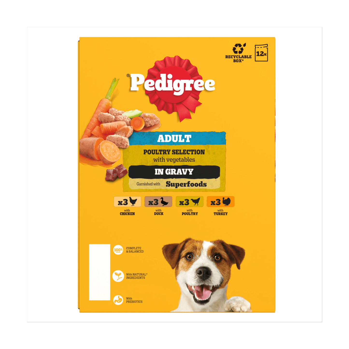 PEDIGREE¨ Adult Wet Dog Food Poultry Selection in Gravy 12 x 100g Pouch - UK Food & Drink - 4770608261245