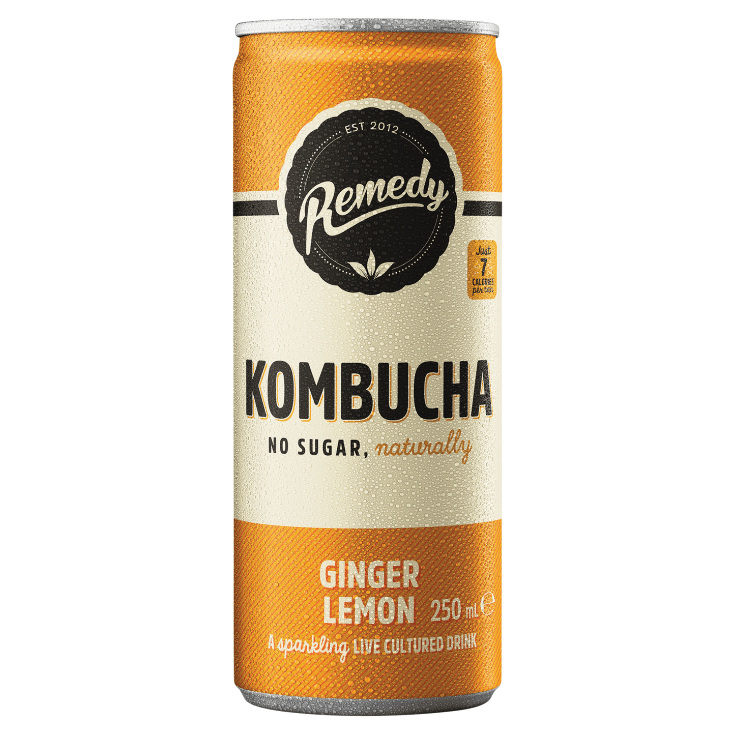 Remedy Kombucha Ginger Lemon 250ml - UK Food & Drink - 9350271000102