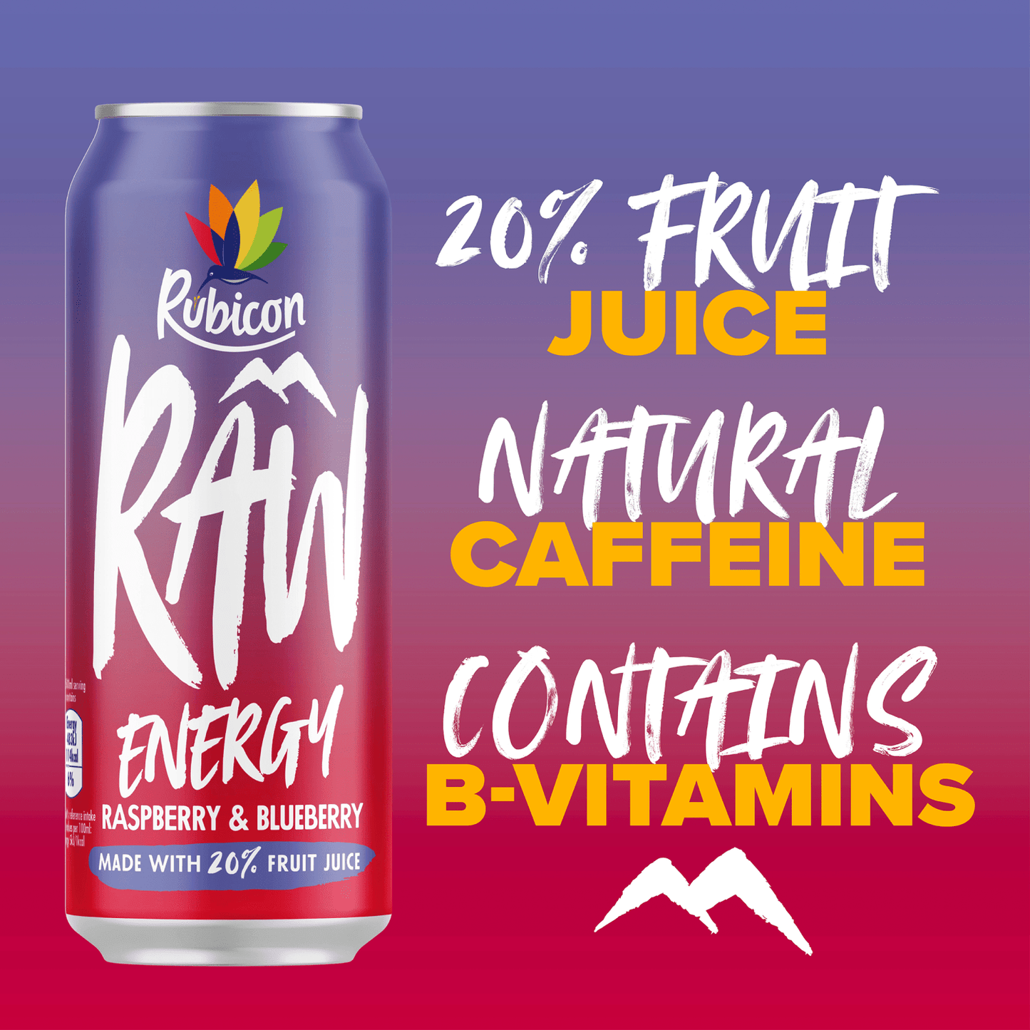 Rubicon Raw Energy Raspberry & Blueberry 500ml - UK Food & Drink - 5000382111320