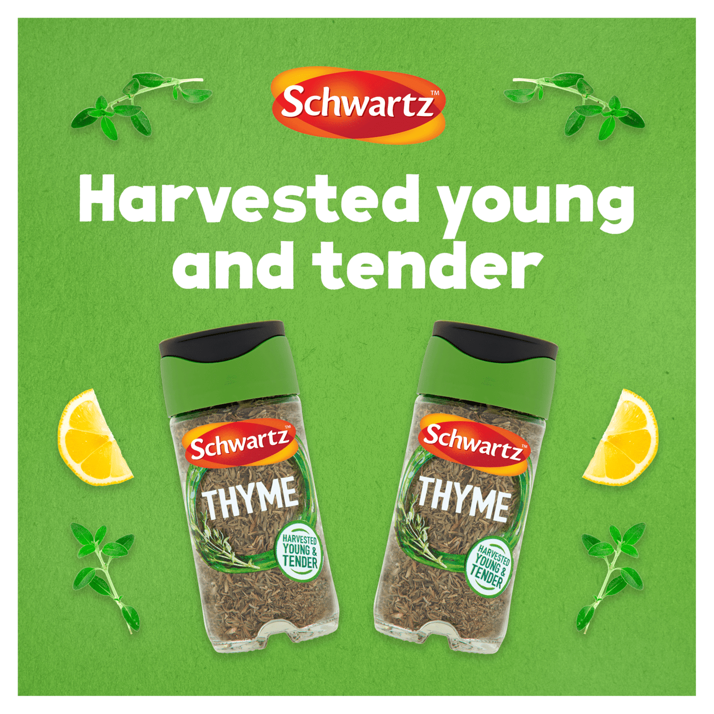 Schwartz Thyme 11g - UK Food & Drink - 50019908