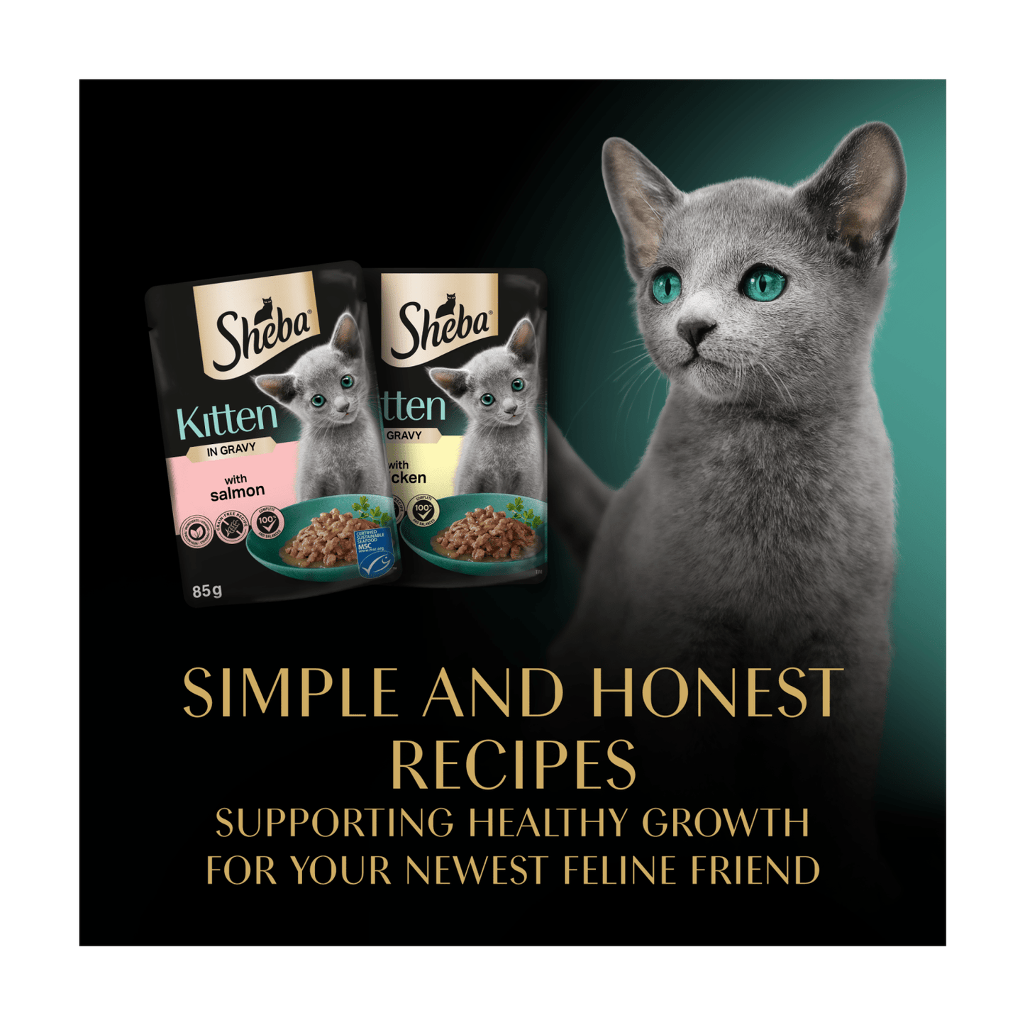 Sheba Mixed Selection Kitten Wet Cat Food Pouch in Gravy 12 x 85g - UK Food & Drink - 4770608264734