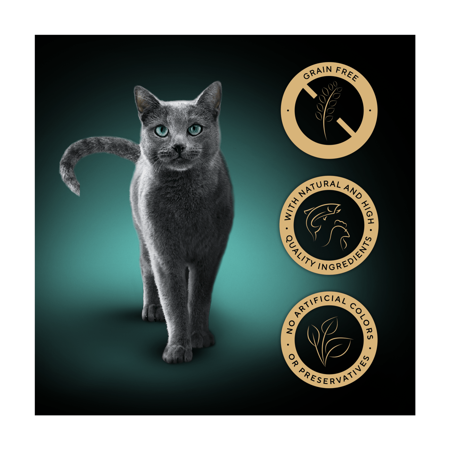 Sheba Nature's Collection Adult Cat Food Tray Mixed Selection in Gravy 8 x 85g - UK Food & Drink - 3065890149892