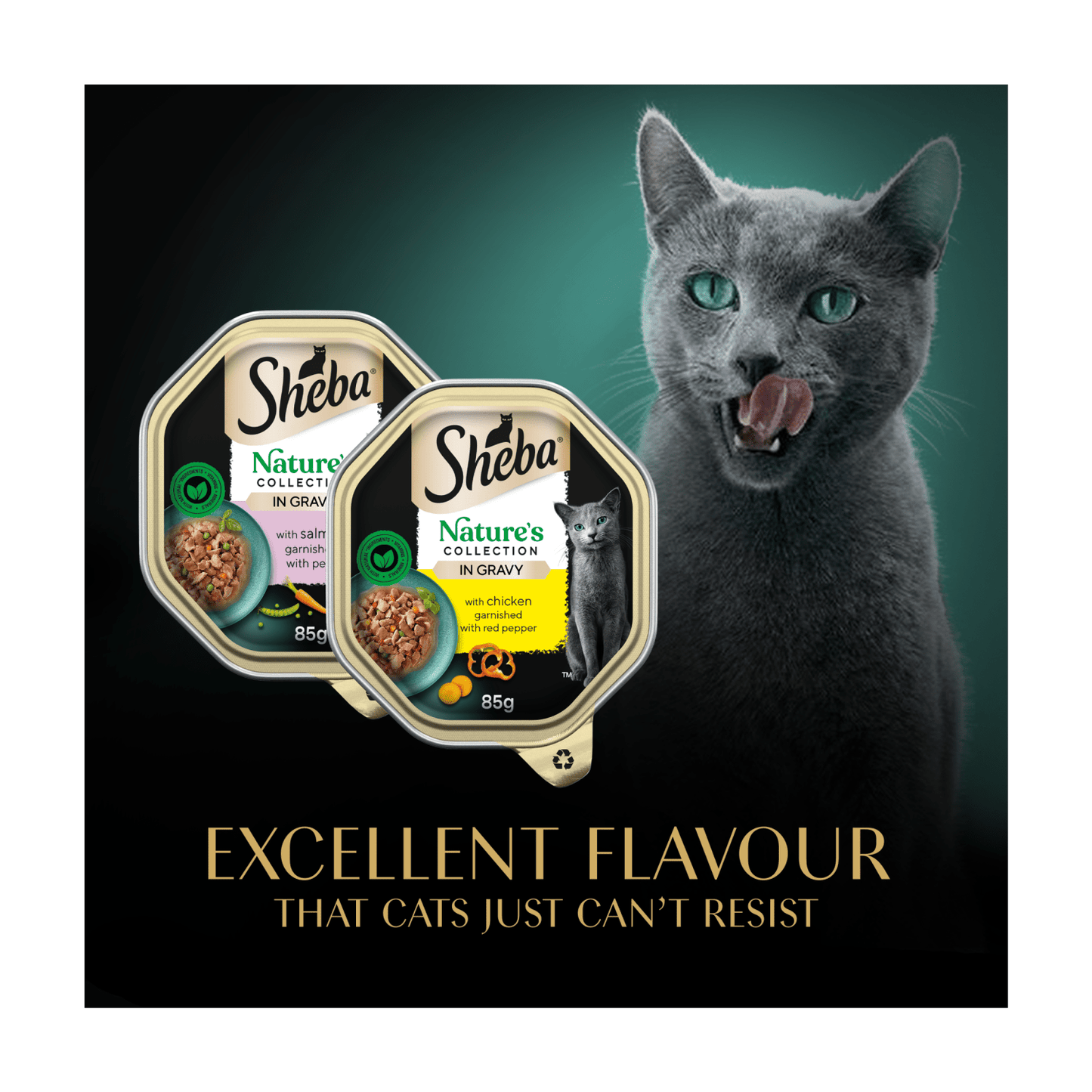 Sheba Nature's Collection Adult Cat Food Tray Mixed Selection in Gravy 8 x 85g - UK Food & Drink - 3065890149892