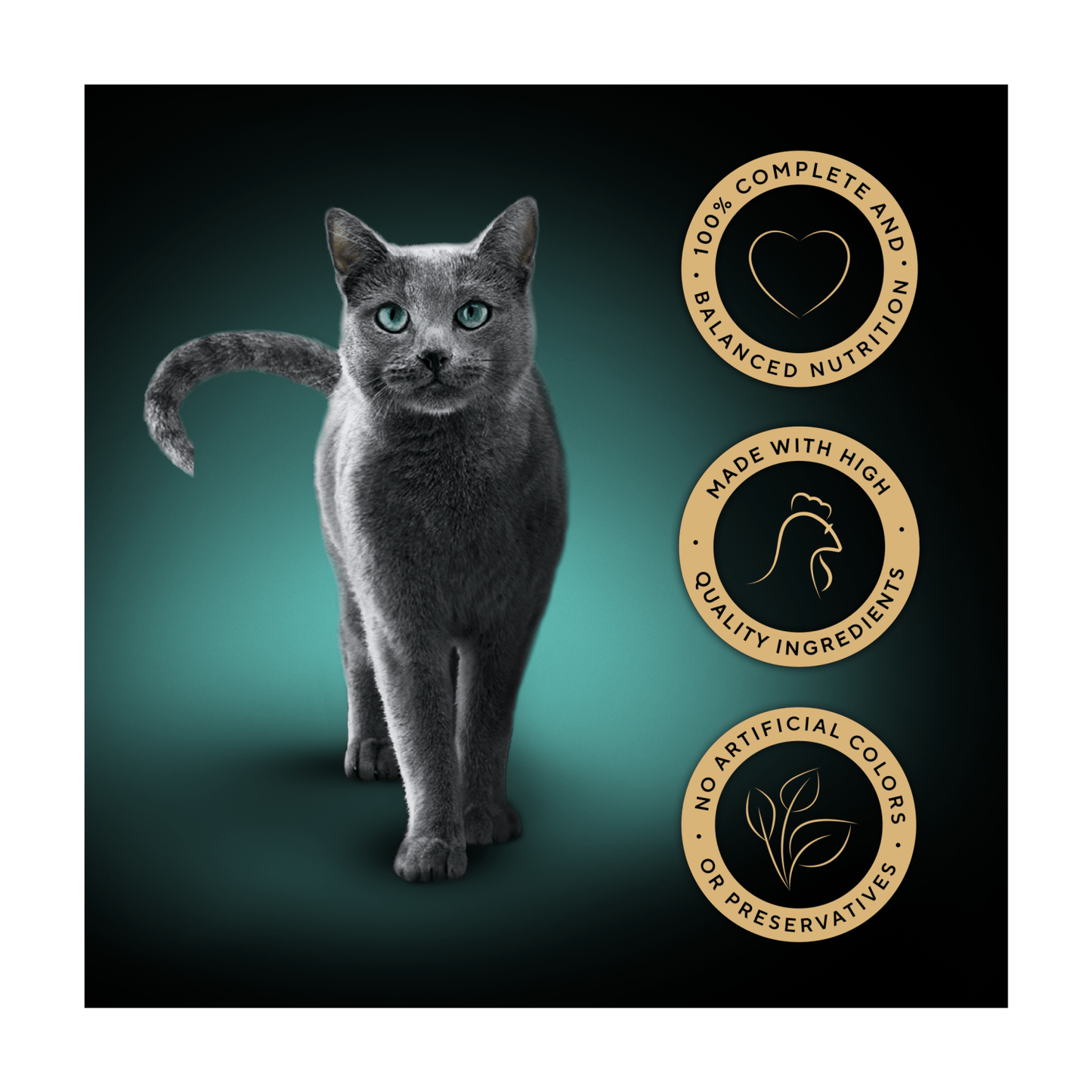 Sheba Select Slices Adult Cat Food Tray with Chicken in Gravy 85g - UK Food & Drink - 4008429070426