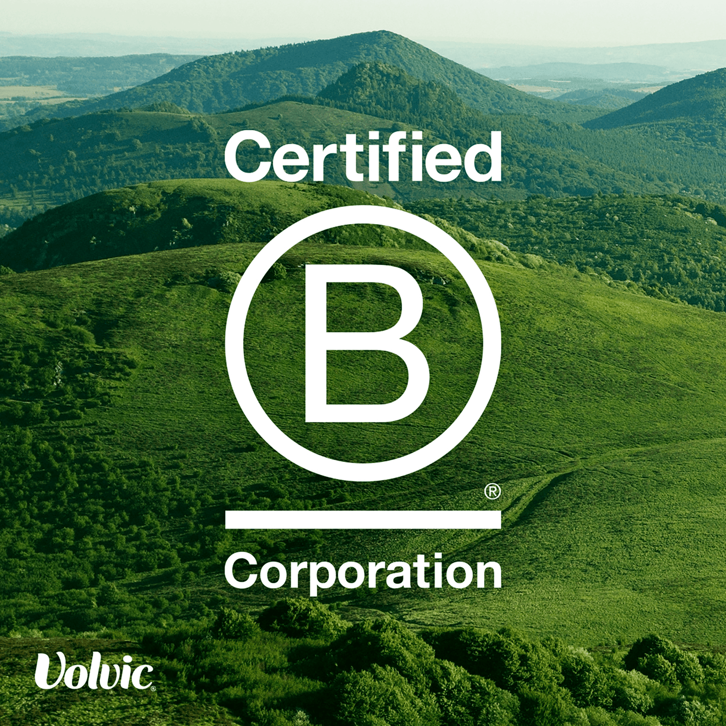 Volvic Touch of Lemon & Lime 500ml - UK Food & Drink - 3057640319723