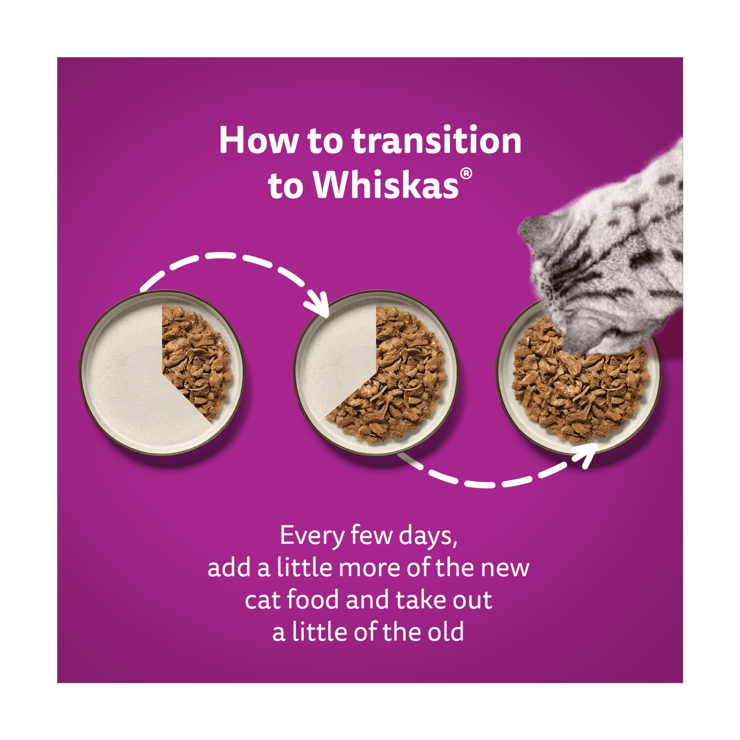 Whiskas 7+ Poultry Feasts in Jelly 12 x 85g (1.02kg) - UK Food & Drink - 5000166157438