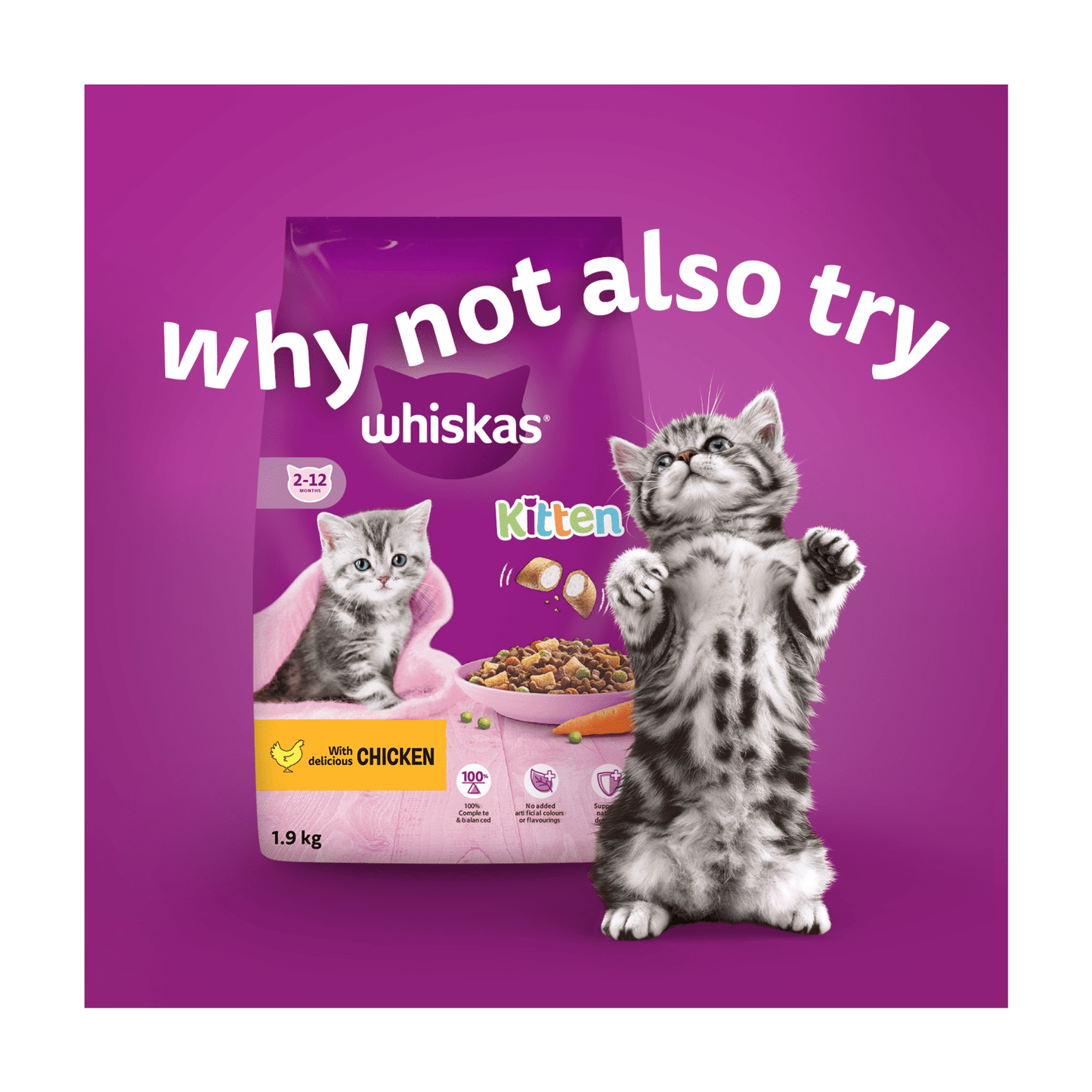 Whiskas Kitten Fish Favourites Wet Cat Food Pouches in Jelly 12 x 85g - UK Food & Drink - 5000166157476