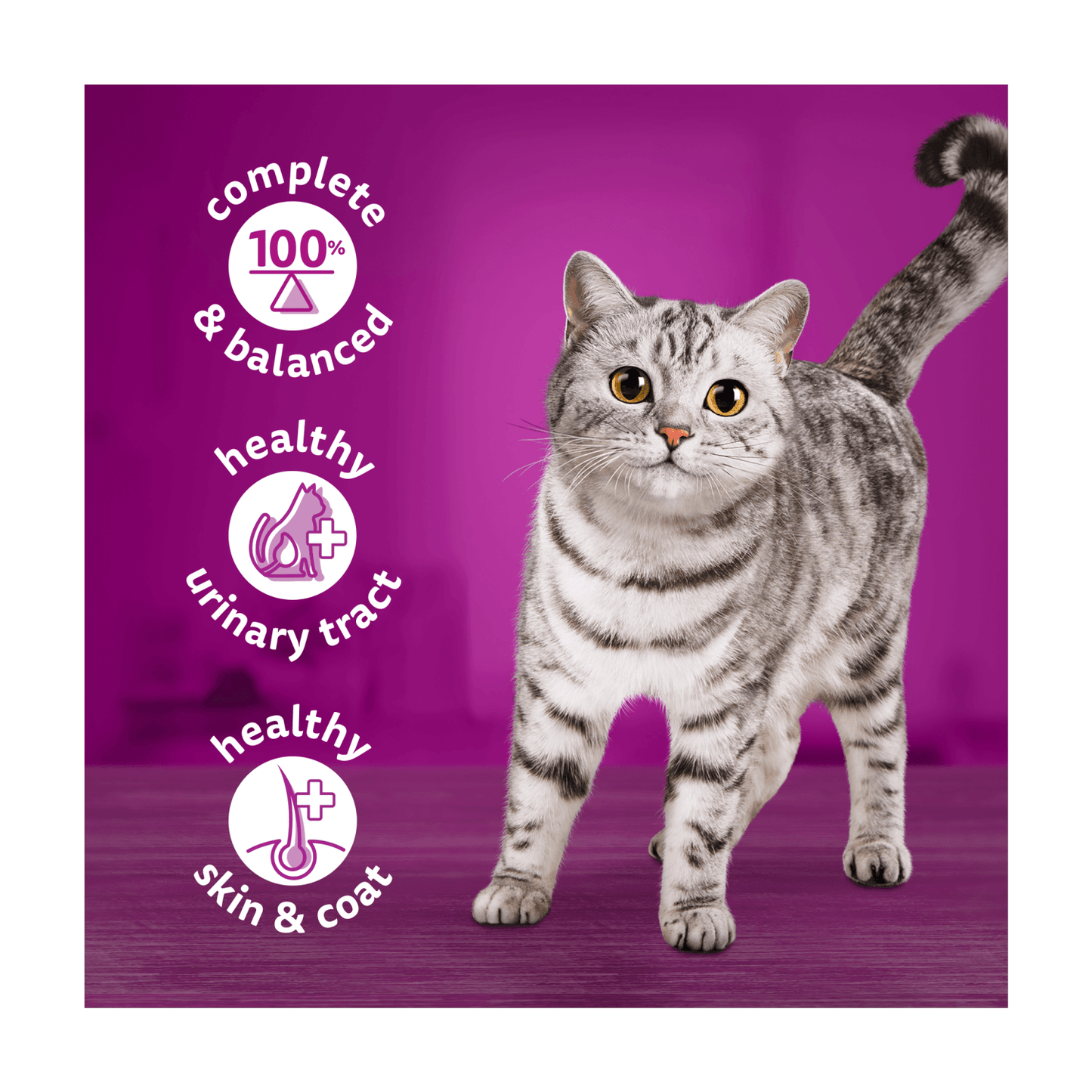 Whiskas Meaty Menu Adult Wet Cat Food in Jelly Tin 6 x 400g - UK Food & Drink - 5000166157810