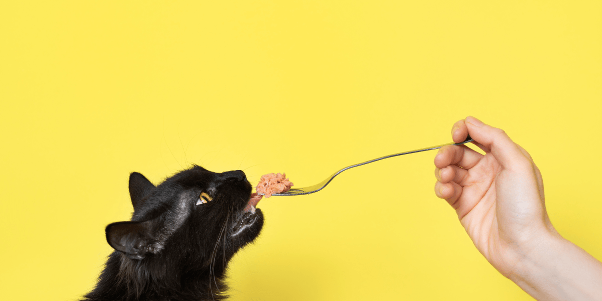 CAT - UK Food & Drink
