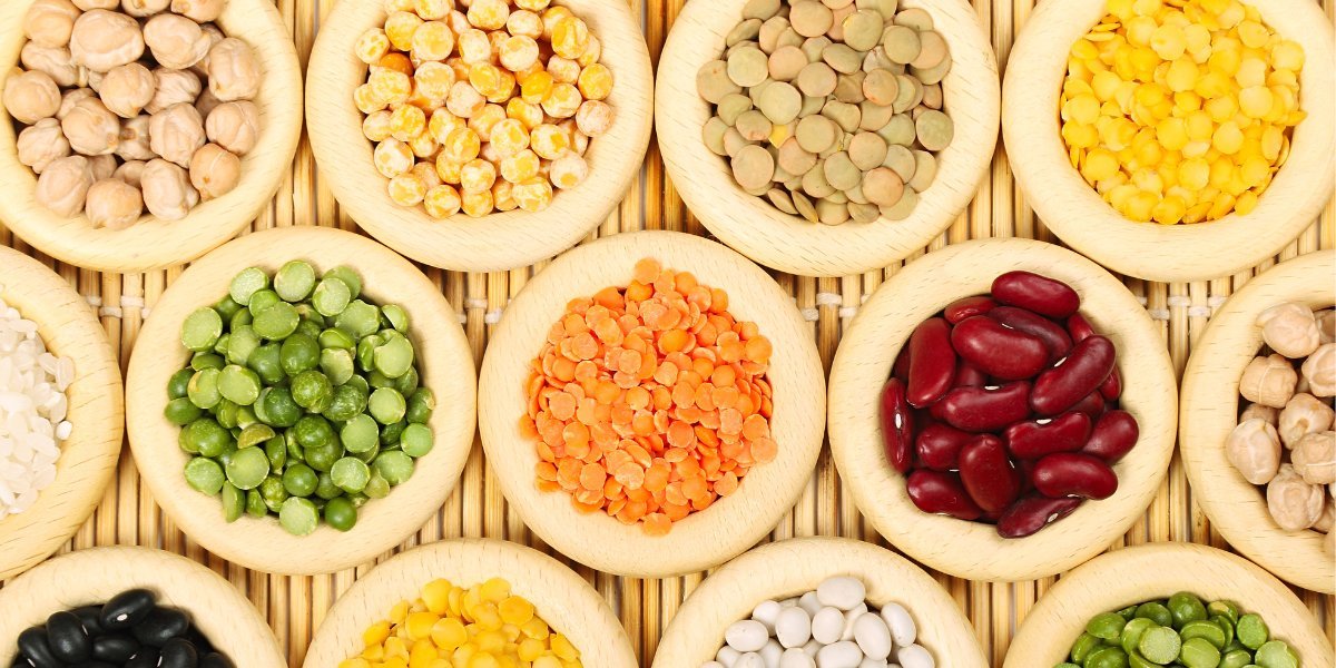 GROCERY - UK Food & Drink