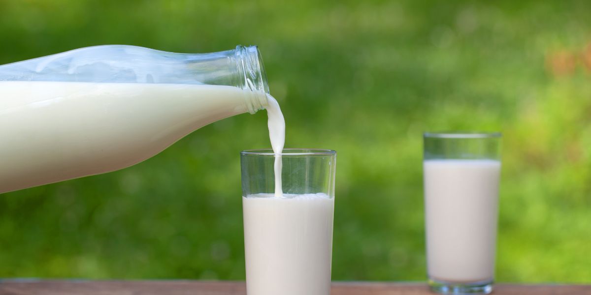 MILKS & CREAMS - UK Food & Drink