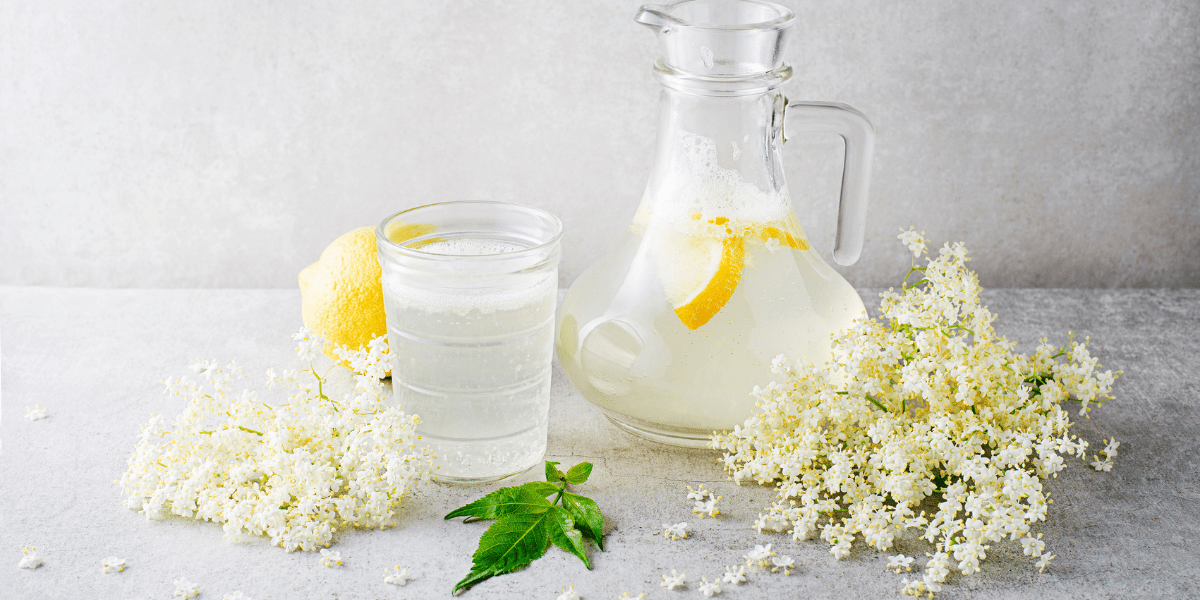 SQAUSH & CORDIALS - UK Food & Drink