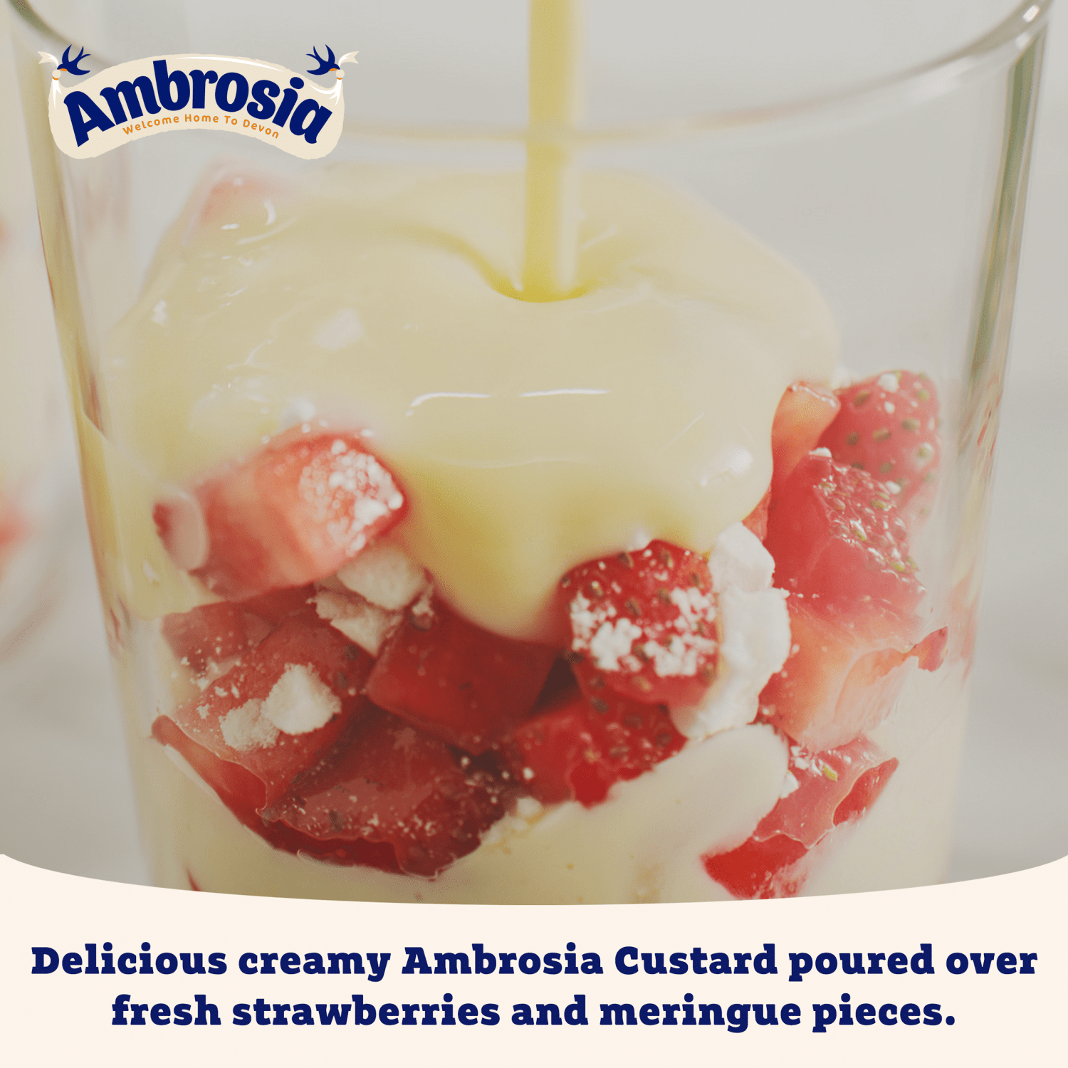 Ambrosia Devon Custard 400g - UK Food & Drink - 5000354800870