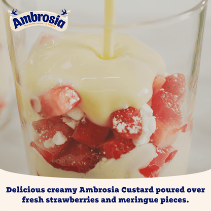 Ambrosia Devon Custard 400g - UK Food & Drink - 5000354800870