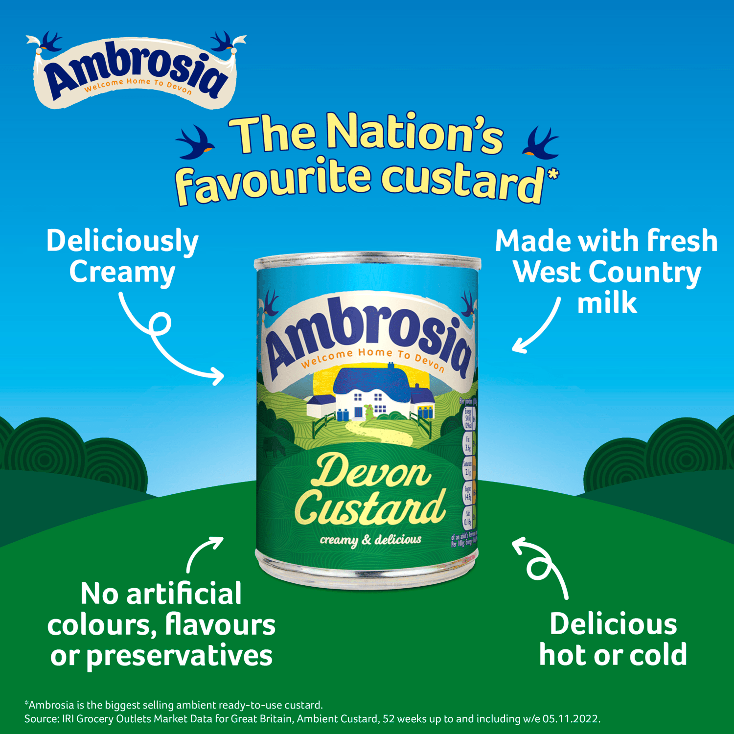 Ambrosia Devon Custard 400g - UK Food & Drink - 5000354800870