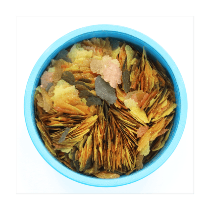 Aquarian Tropical Fish Food Flakes 50g - UK Food & Drink - 5010394996761