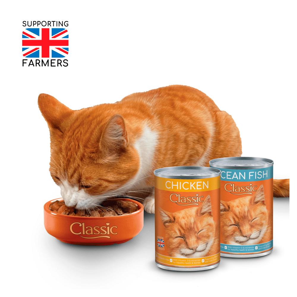 Butcher's Classic Meat & Fish Variety In Jelly Wet Cat Food Tins 12 x 400g - UK Food & Drink - 5011941593068