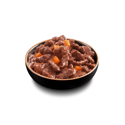 CESAR¬® Deliciously Fresh Dog Food Pouches Mixed Selection in Sauce 12 x 100g - UK Food & Drink - 8410136019654