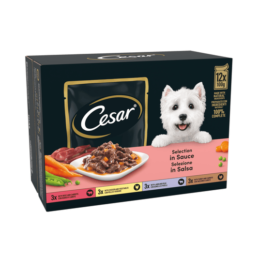 CESAR¬® Deliciously Fresh Dog Food Pouches Mixed Selection in Sauce 12 x 100g - UK Food & Drink - 8410136019654