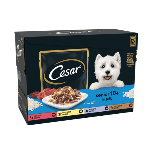 CESAR¬® Senior Wet Dog Food Pouches Mixed Selection in Jelly 12 x 100g - UK Food & Drink - 8410136019739