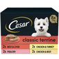 CESAR¬Æ Classics Terrine Dog Food Trays Mixed in Loaf 8 x 150g - UK Food & Drink - 3065890148017