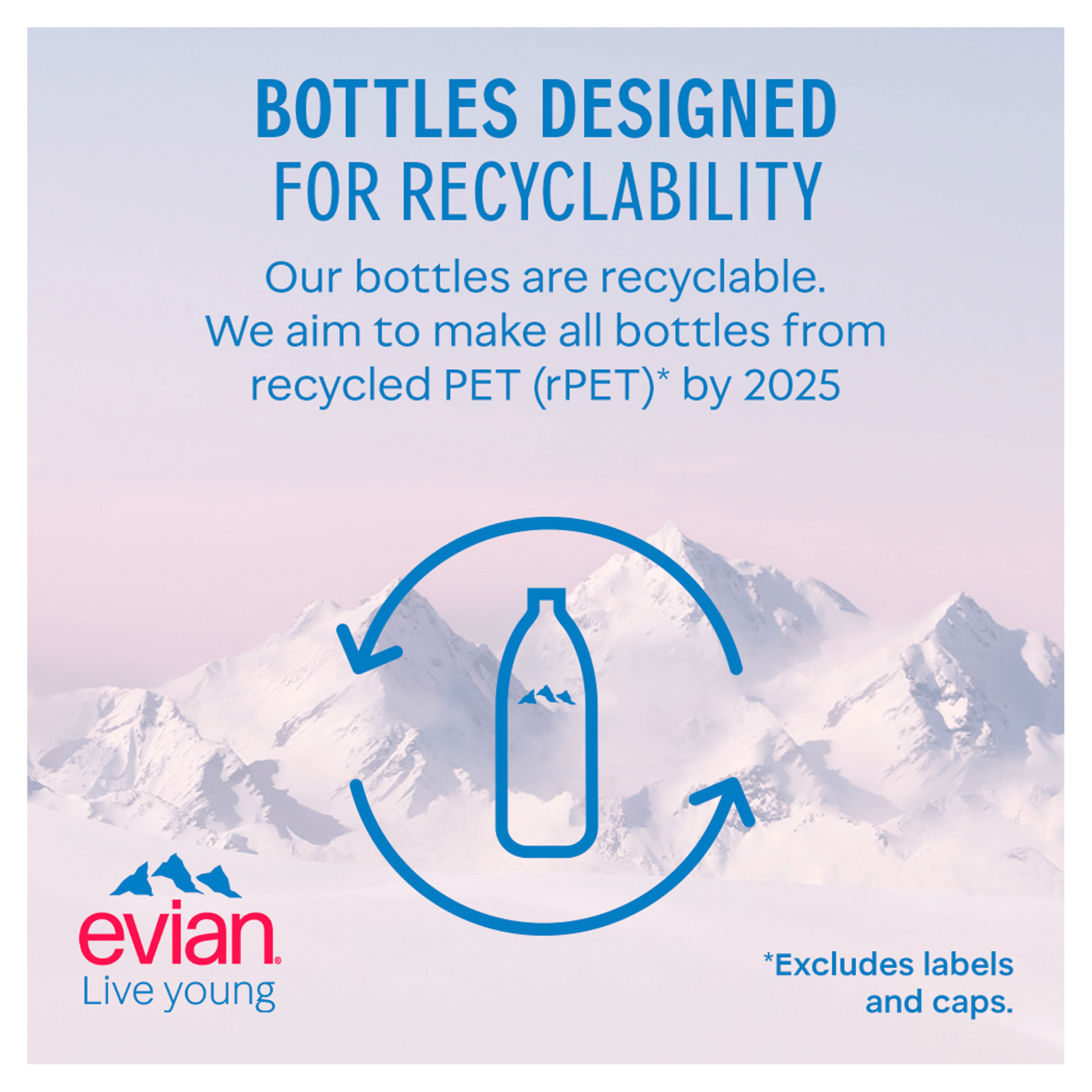 Evian Natural Mineral Water 33cl - UK Food & Drink - 3068320063003