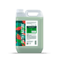Faith in Nature Aloe Vera Shampoo - UK Food & Drink - 708002900518