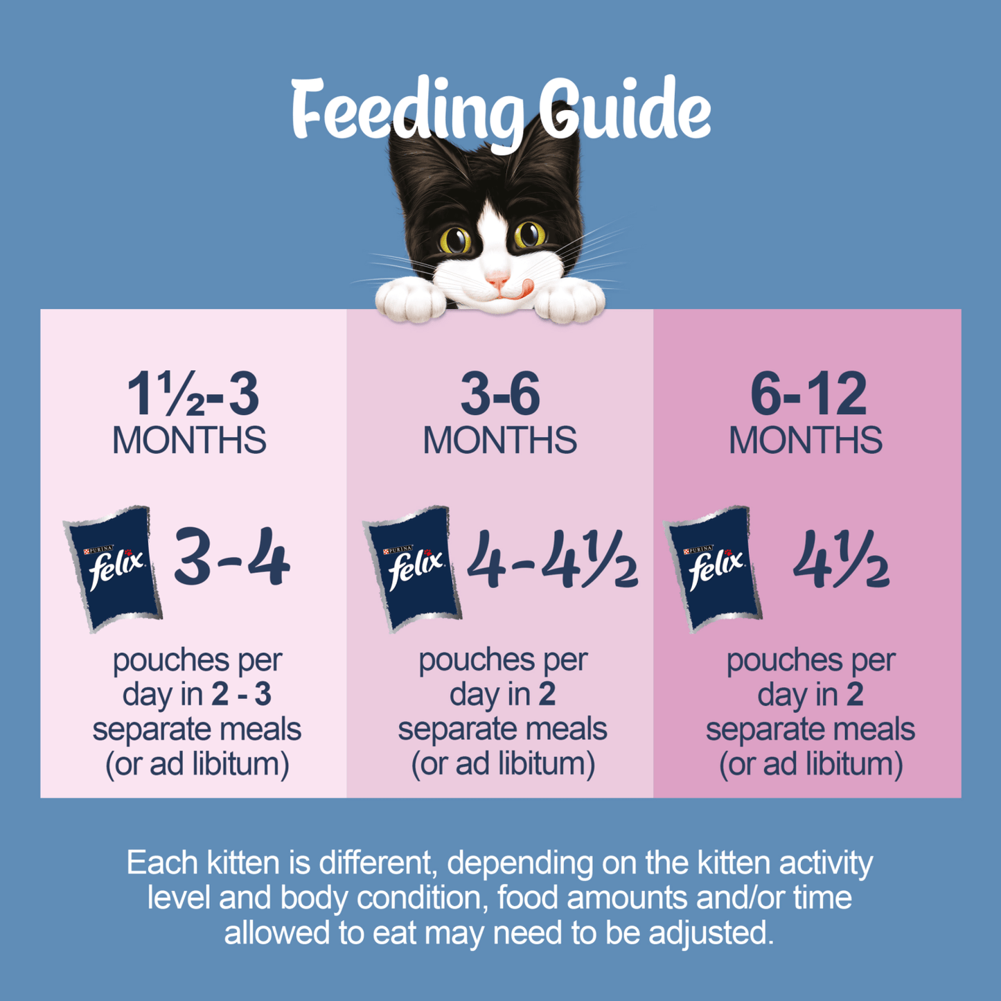 Felix Kitten Original Mixed Selection in Jelly 2 - 12 Months 12 x 85g (1.02kg) - UK Food & Drink - 8445291014756