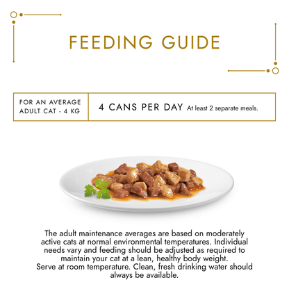 Gourmet Gold Chunks in Gravy with Chicken & Liver 85g - UK Food & Drink - 7613032948009