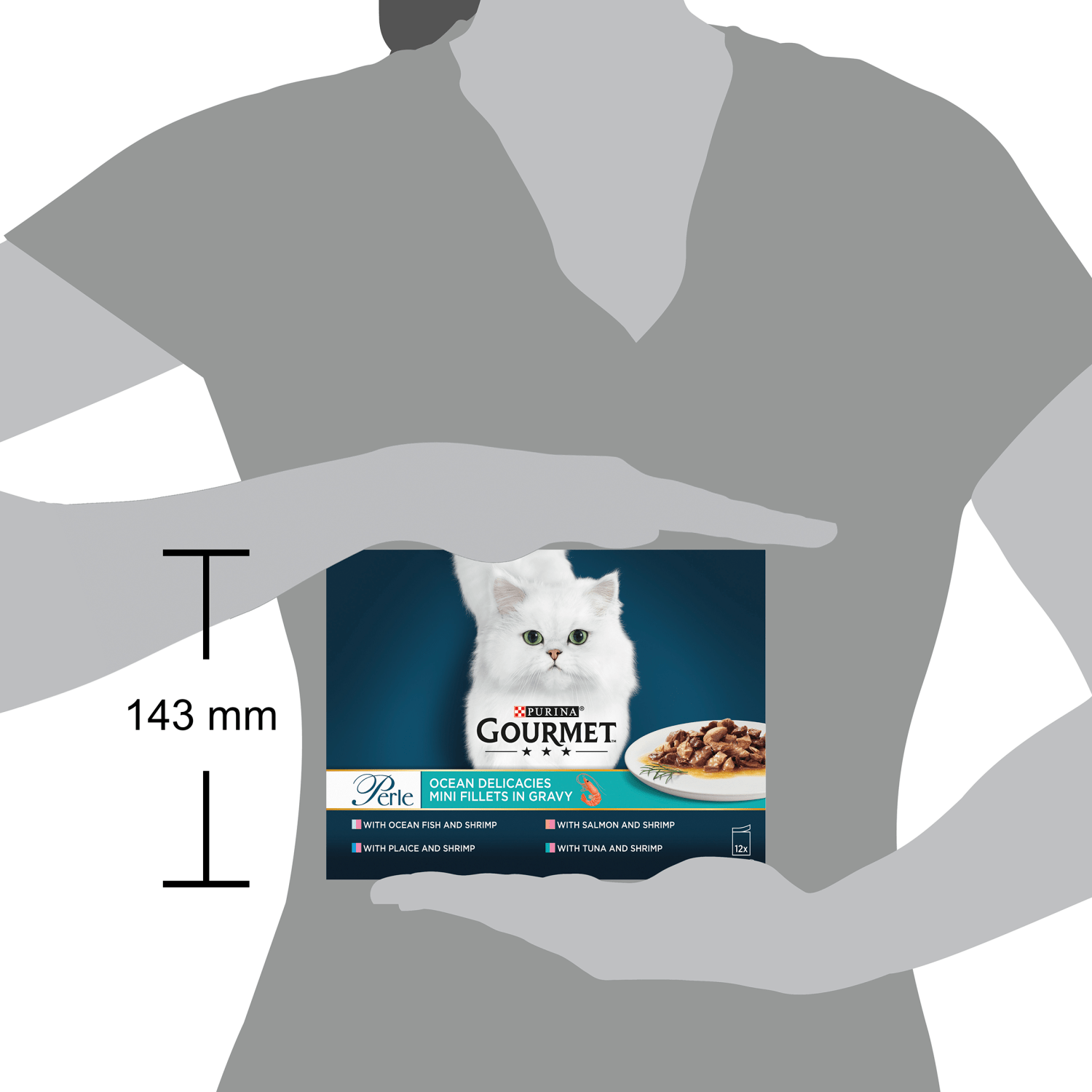 Gourmet Perle Ocean Delicacies Mini Fillets in Gravy 12 x 85g - UK Food & Drink - 7613030955016