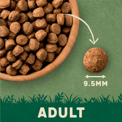 Harringtons Adult Rich in Salmon & Potato 1.7kg - UK Food & Drink - 5013919005283