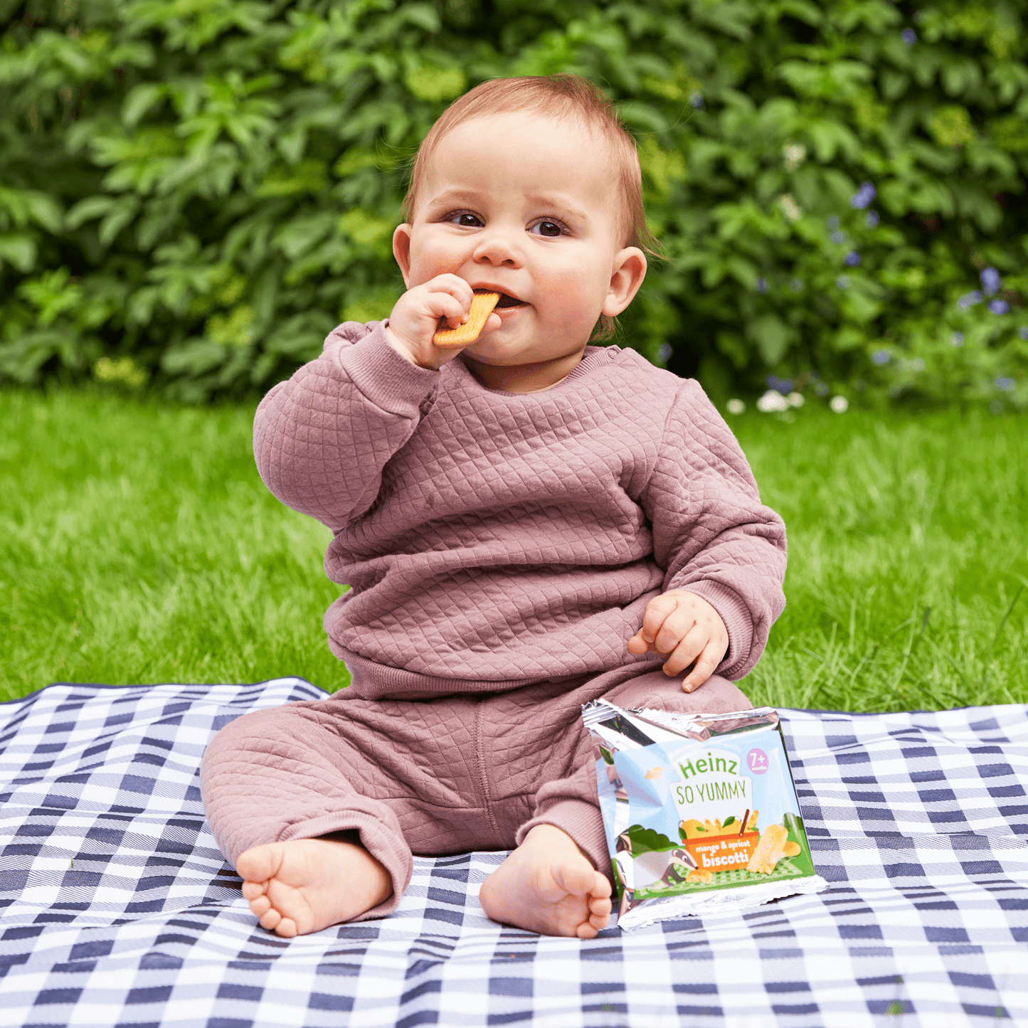 Heinz Apple Biscotti Snack 7+ Months 60g - UK Food & Drink - 5000157067845