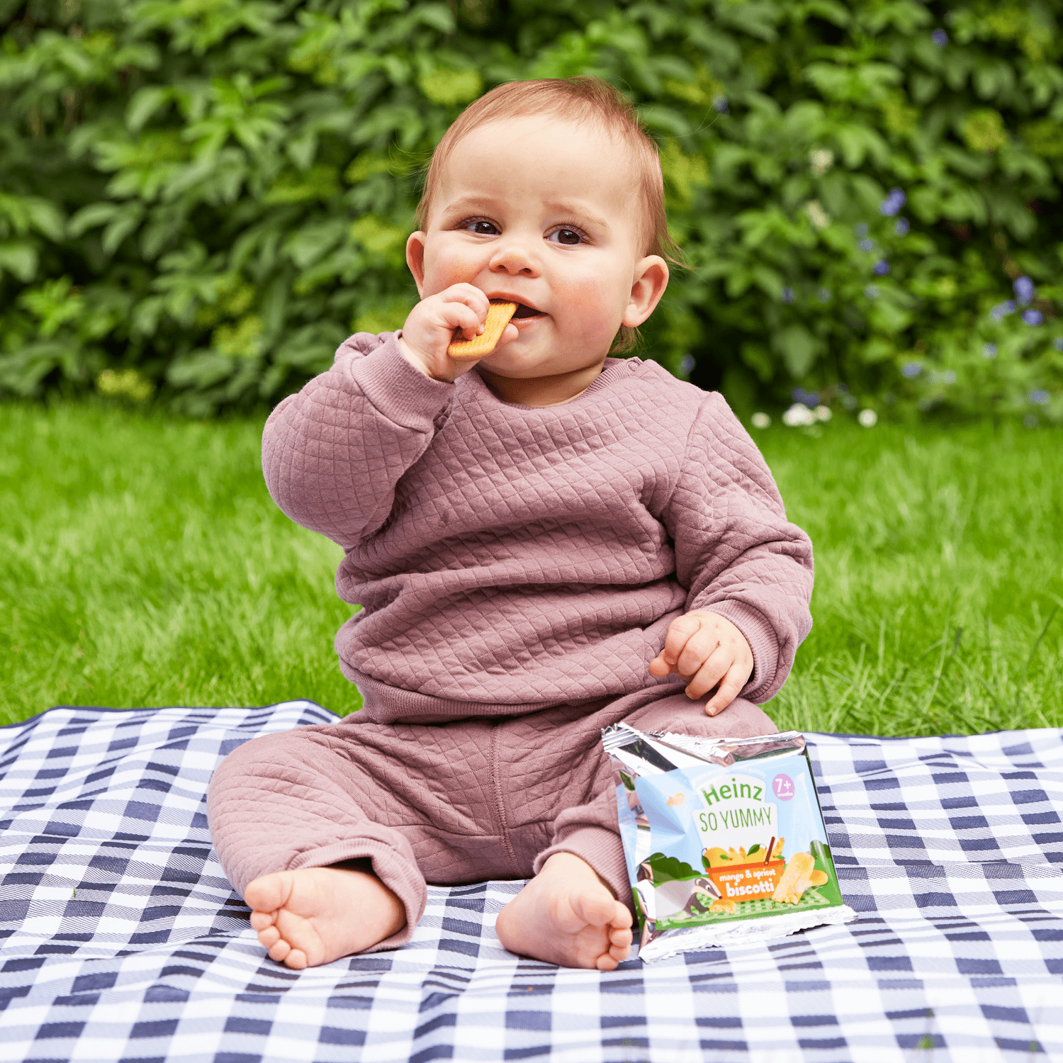 Heinz Apple Biscotti Snack 7+ Months 60g - UK Food & Drink - 5000157067845