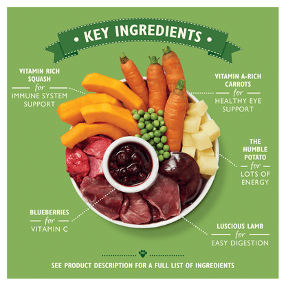 Lily's Kitchen Lamb Hotpot Adult Wet Dog Food 400g - UK Food & Drink - 5060184240017