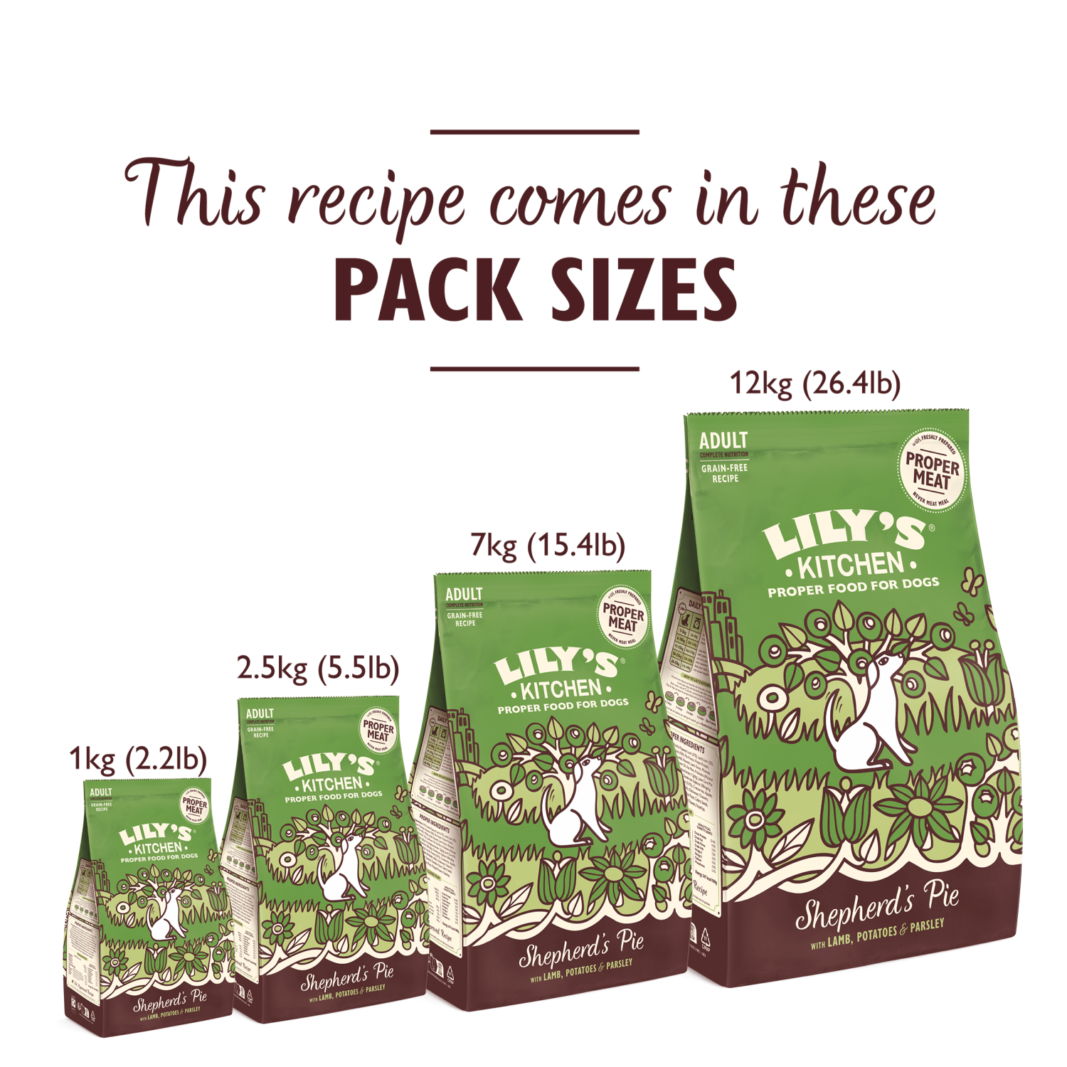 Lily's Kitchen Shepherd's Pie Adult Complete Nutrition 1kg - UK Food & Drink - 5060184241144